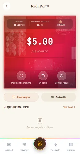 Paiements hors-ligne